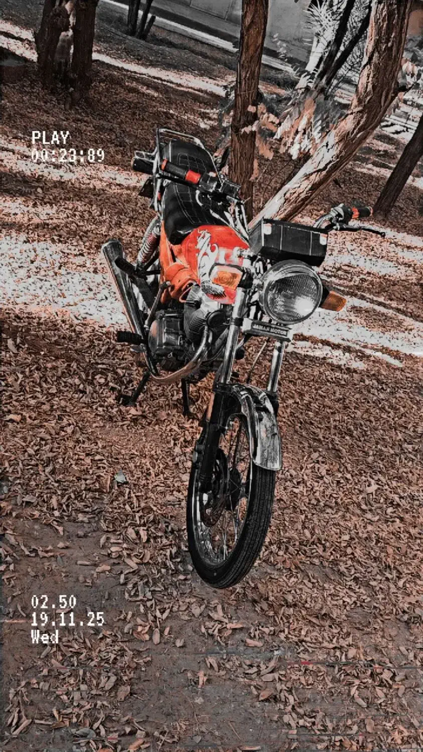 هندا شکاری 150|موتورسیکلت|کرمان, |دیوار