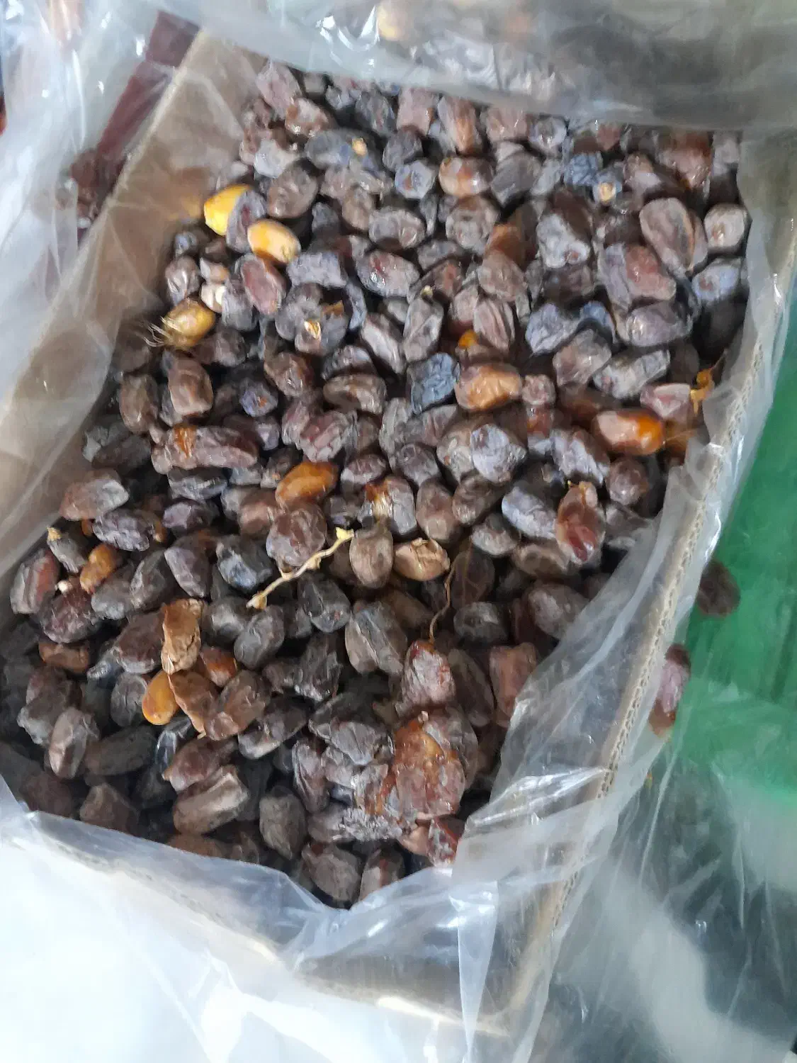 فروش خرما|عمدهفروشی|بوشکان, |دیوار