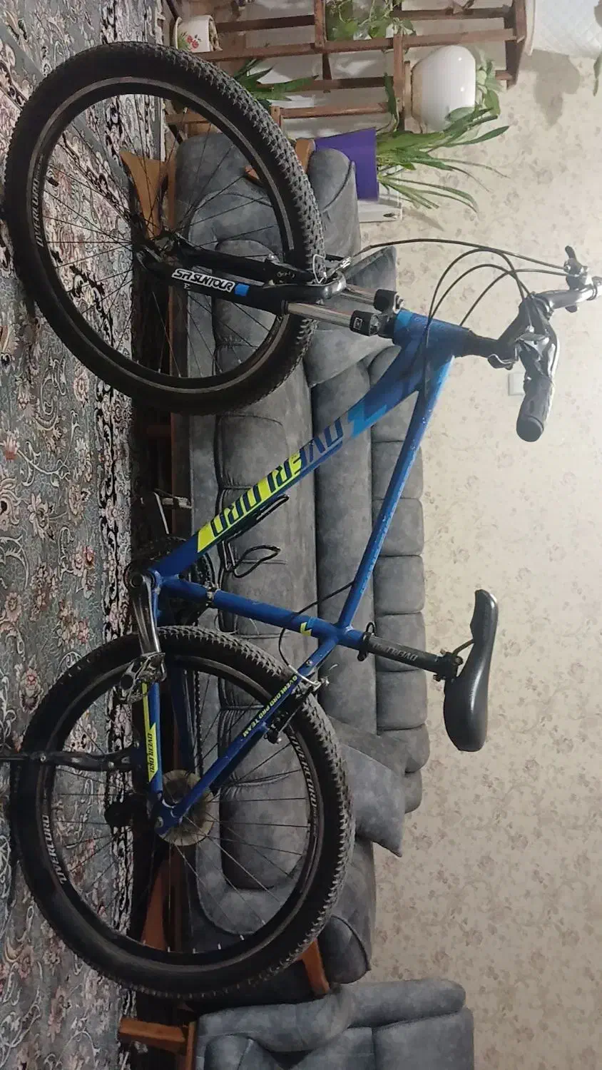 دوچرخه overlord|دوچرخه، اسکیت، اسکوتر|شیراز, کاراندیش|دیوار