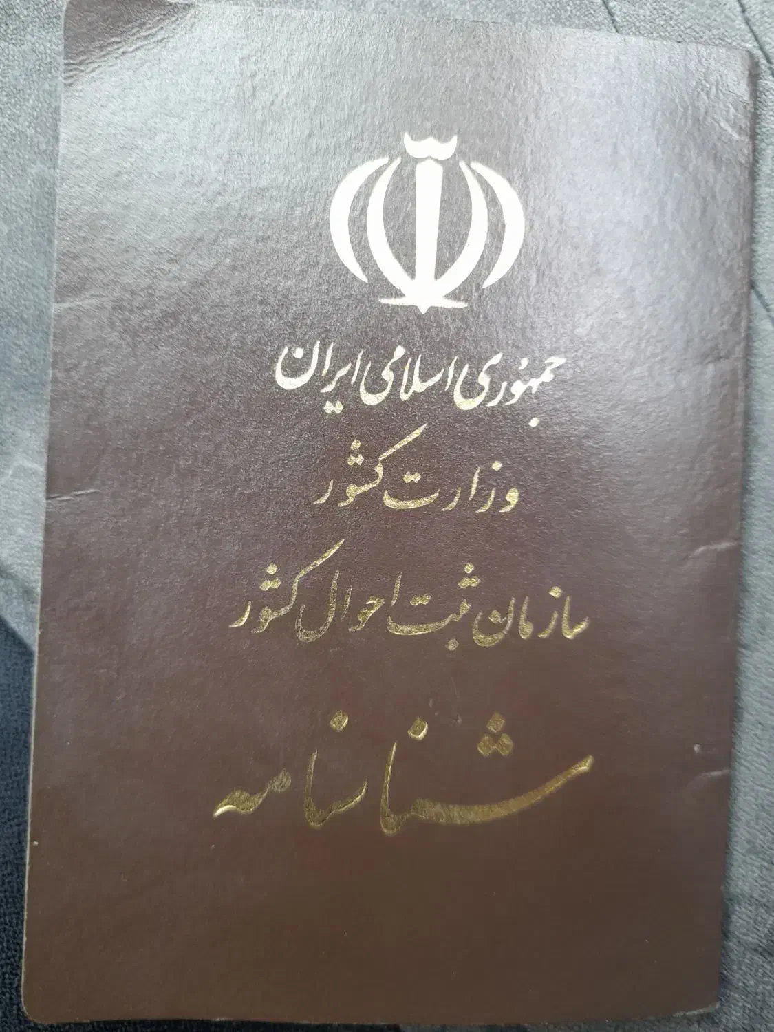 گم شده علی محمود اقای|اشیا|کرمان, |دیوار