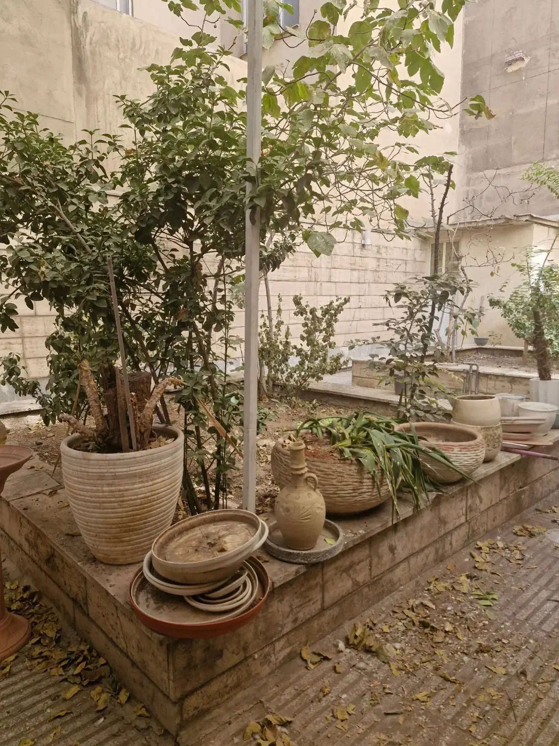 واحد مسکونی ۱ خواب میباشد|اجارهٔ آپارتمان|تهران, فردوسی|دیوار
