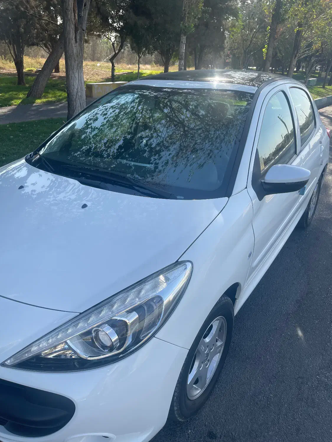 ۲۰۷ پانا مدل ۱۴۰۳ ارتقا|خودرو سواری و وانت|اسلامشهر, زرافشان|دیوار