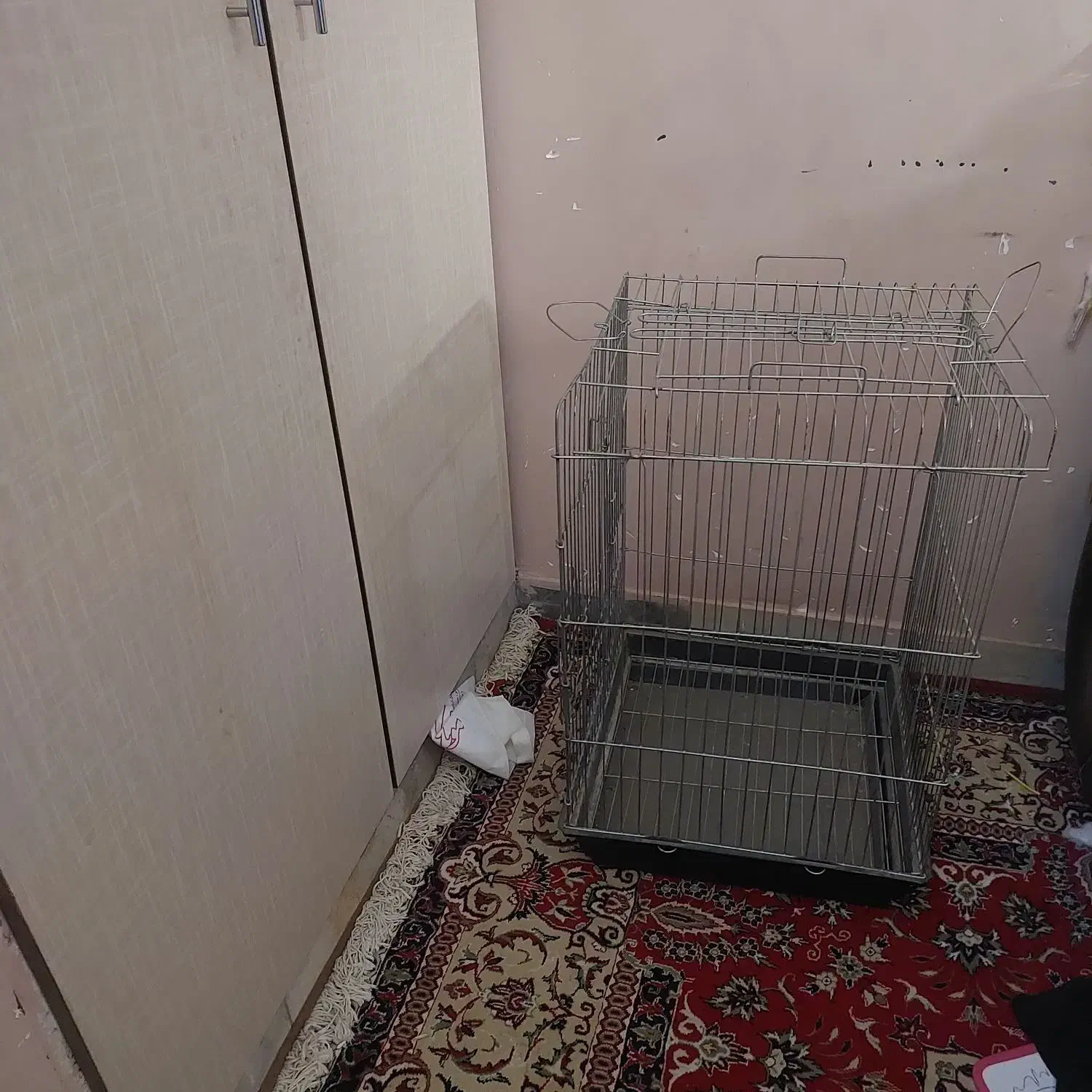 قفس|لوازم جانبی حیوانات|کرمان, |دیوار