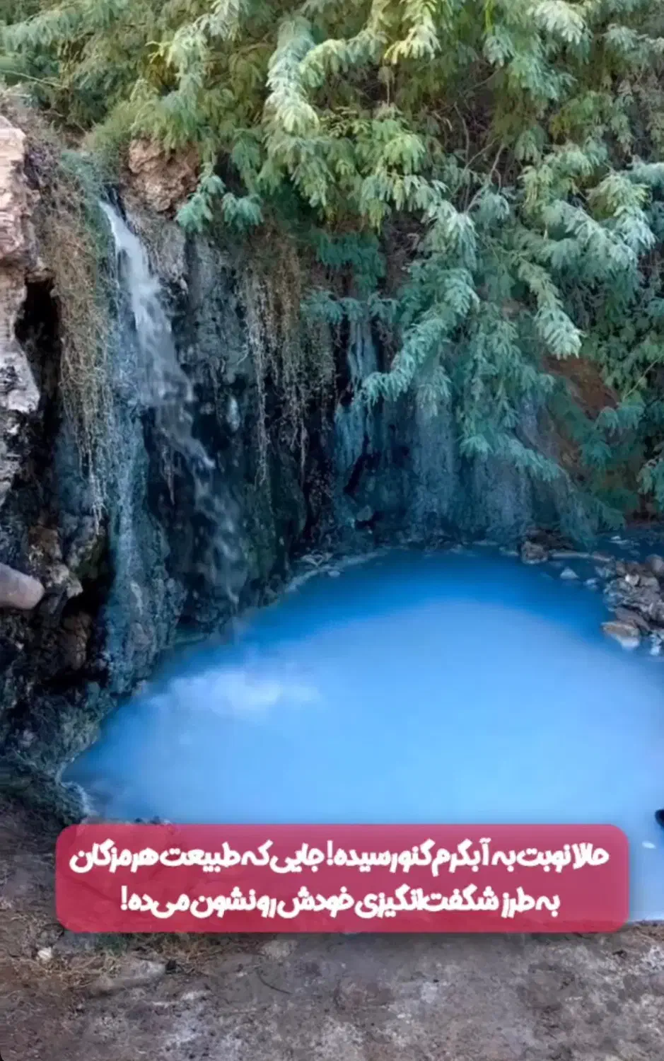 همسفر جنوب|فعالیت داوطلبانه|شهرکرد, |دیوار