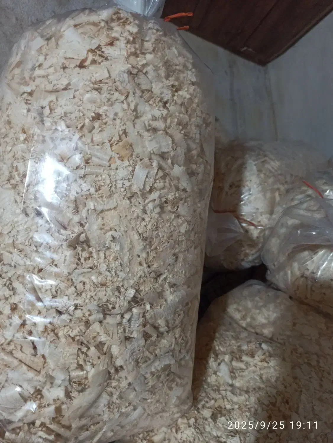 پخش پوشال و اره خاک با کمترین قیمت|عمدهفروشی|رشت, حمیدیان|دیوار