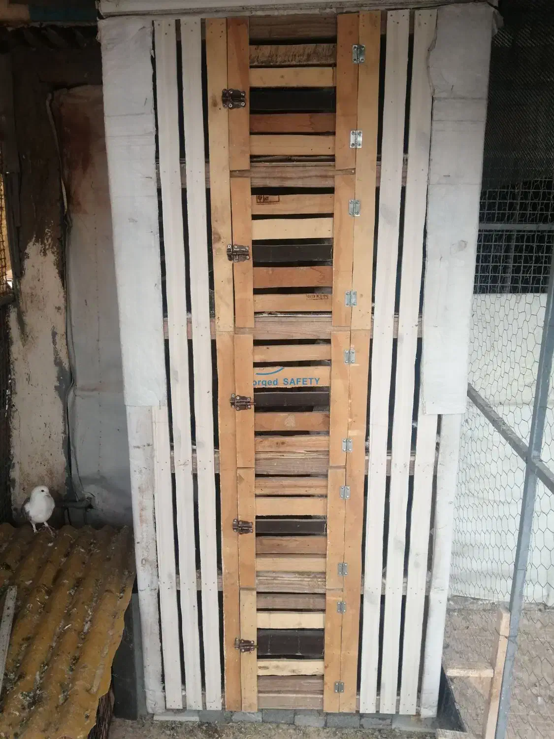 جفتگاه کفتر|لوازم جانبی حیوانات|شیراز, ترمینال باربری|دیوار