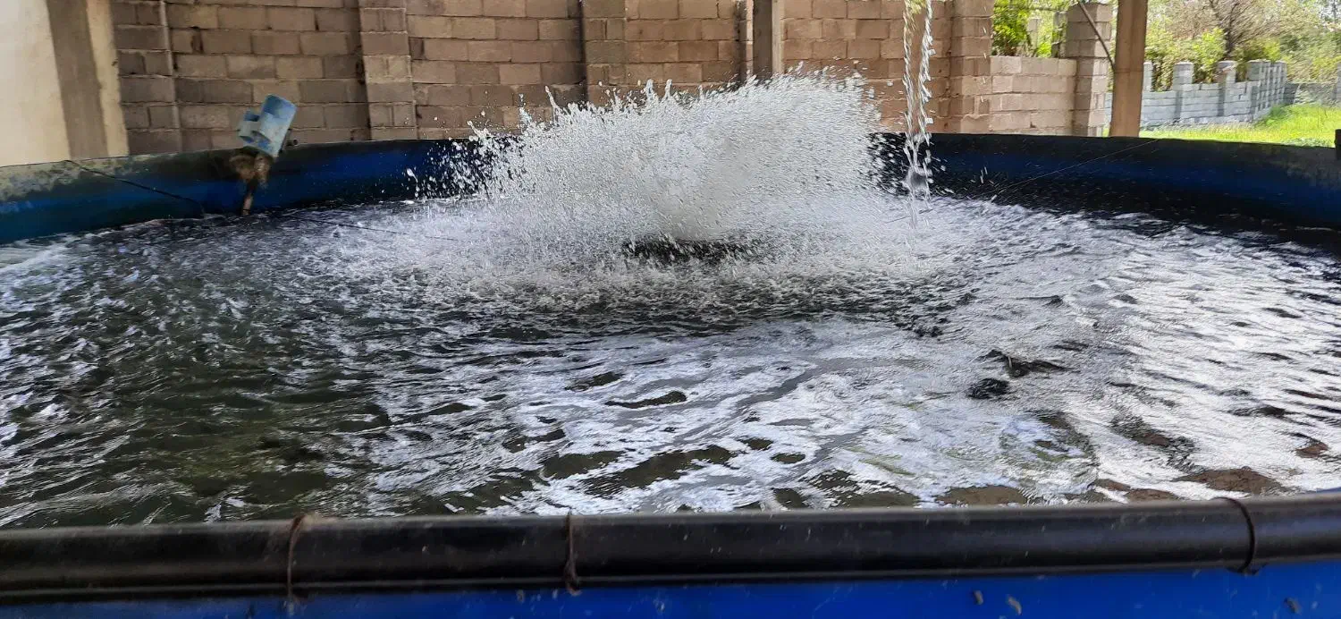 استخر پرورش ماهی|فروش دفتر صنعتی، کشاورزی، تجاری|پره‌سر, |دیوار