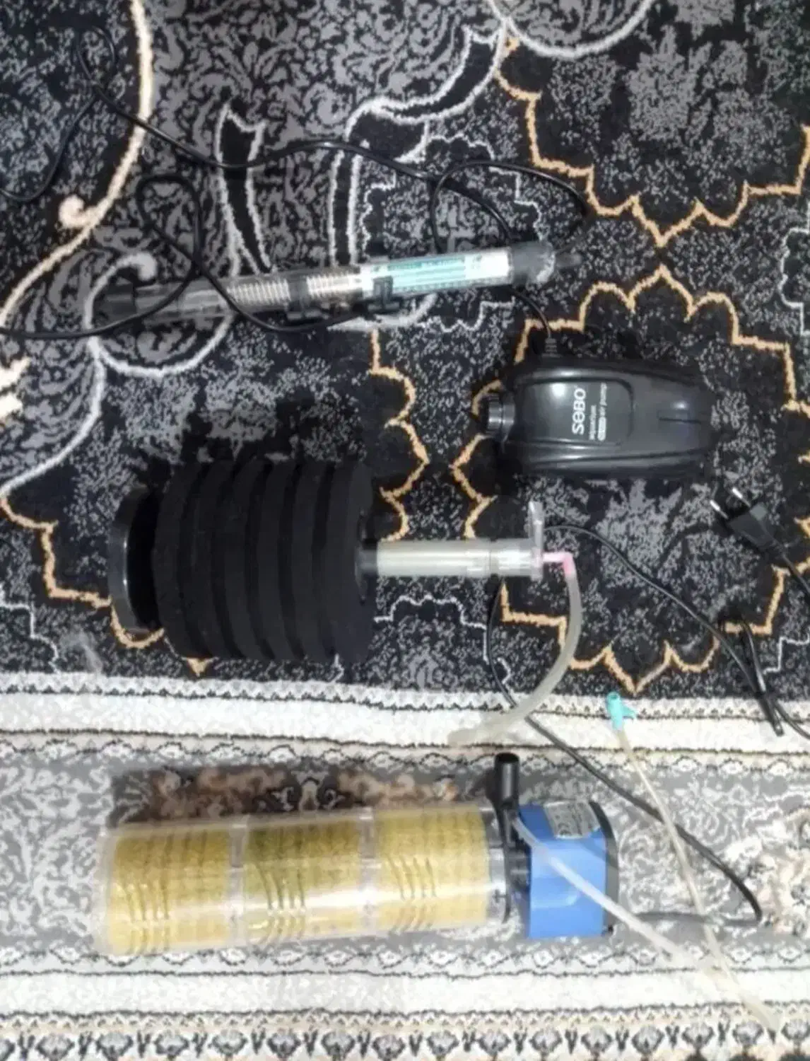 اکواریوم ۱۲۰ لیتری شیشه خم|ماهی|نوشهر, |دیوار