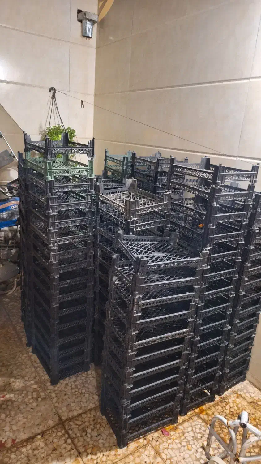 جعبه میوه|ظروف نگهدارنده، پلاستیکی، یکبارمصرف|کاشان, پارک لاله|دیوار