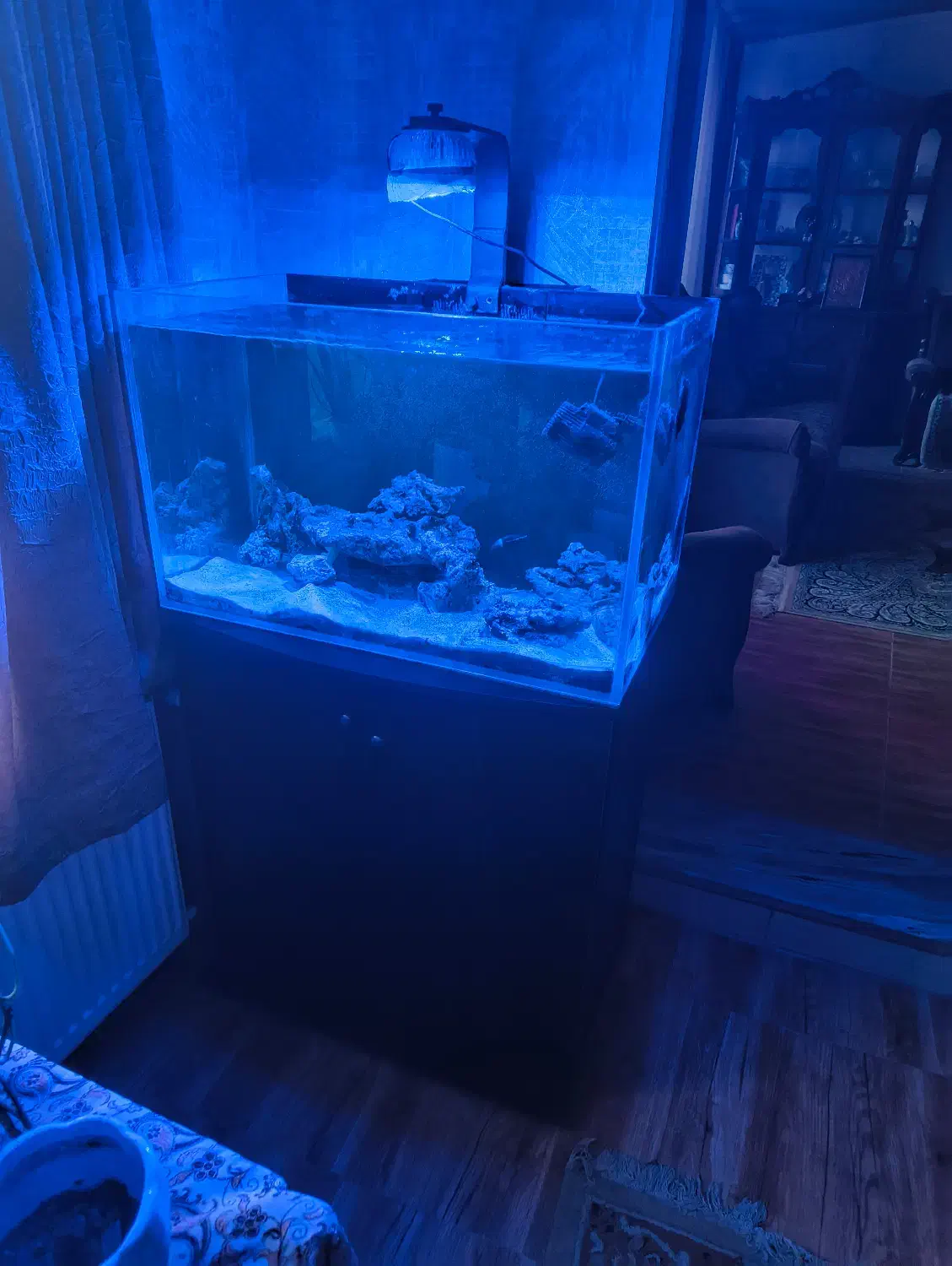 آکواریوم آب شور با وسایل|ماهی|پاکدشت, پاکدشت (مامازند)|دیوار