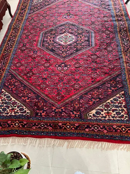 فرش دستبافت|فرش|قم, دوبرادر|دیوار