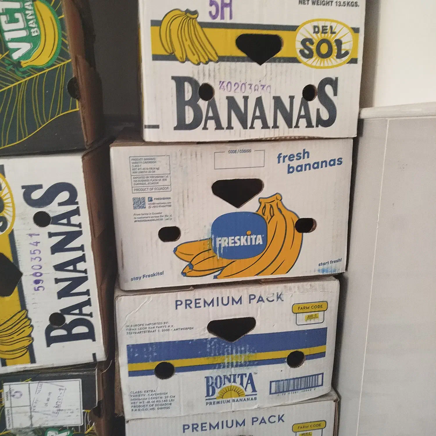 کارتن موزی|حراج|ساوه, |دیوار