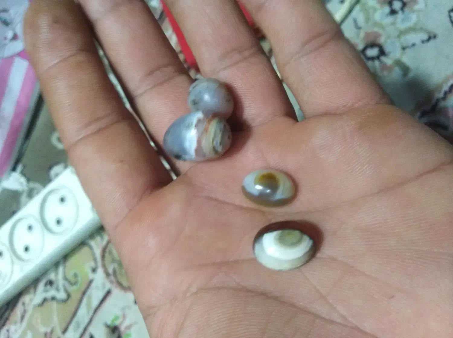 انگشتر نقره|جواهرات|بندرعباس, |دیوار