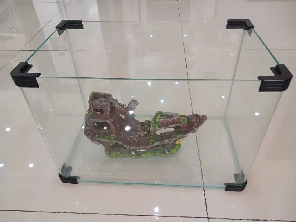 آکواریوم شیشه خم فروش فوری لوازم کامل|ماهی|شهرکرد, |دیوار