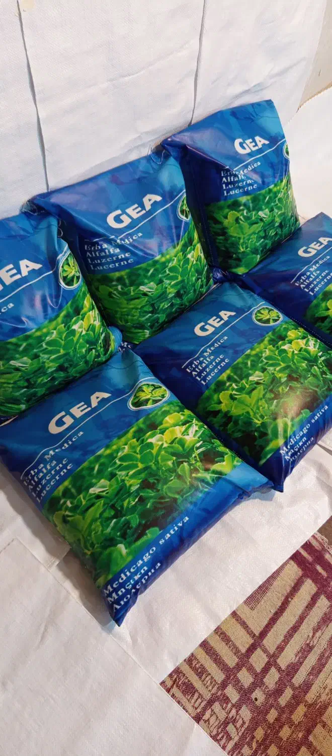 بذر یونجه میهن مهر موسوی|خدمات باغبانی و درختکاری|خرمآباد, |دیوار