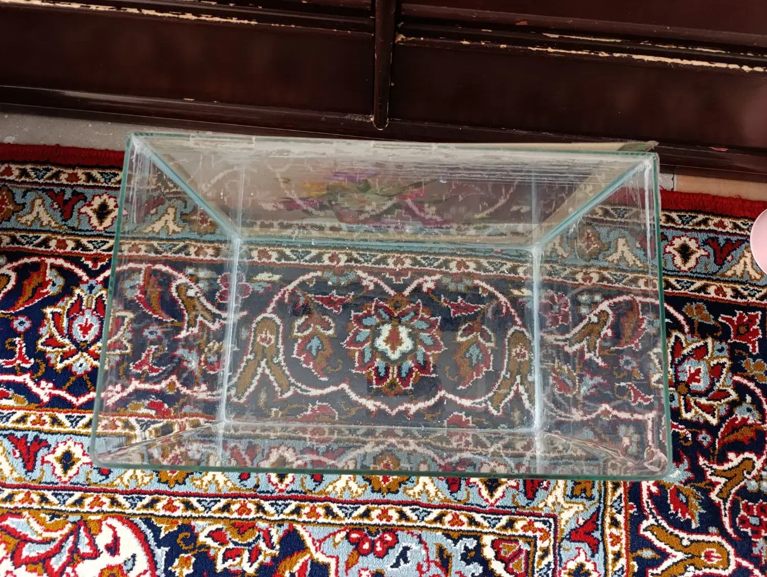 آکواریوم شیشه خم|ماهی|فردیس, شهرک شهید حسینی|دیوار