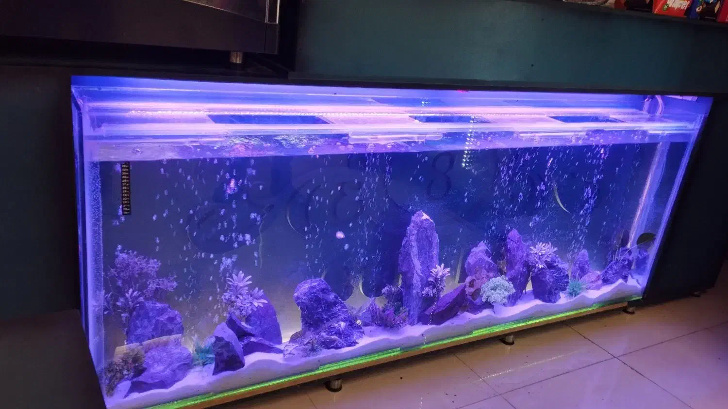 آکواریوم ۲۲۰|ماهیگیری|خرم‌آباد, |دیوار