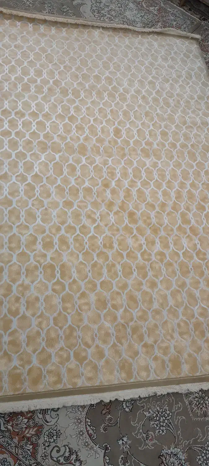 فرش،۶متری|فرش|آران و بیدگل, |دیوار