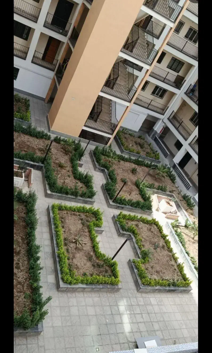 خدمات باغبانی. تهران بومهن داماوند گیلان پردیس|خدمات باغبانی و درختکاری|دماوند, دماوند|دیوار