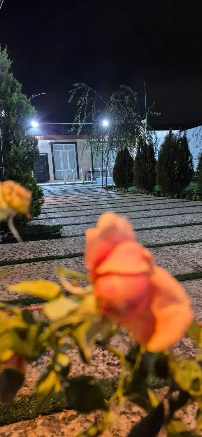 محضر ثبت عقد در باغ ۳ میلیون|خدمات پذیرایی، مراسم|فردیس, فردیس|دیوار