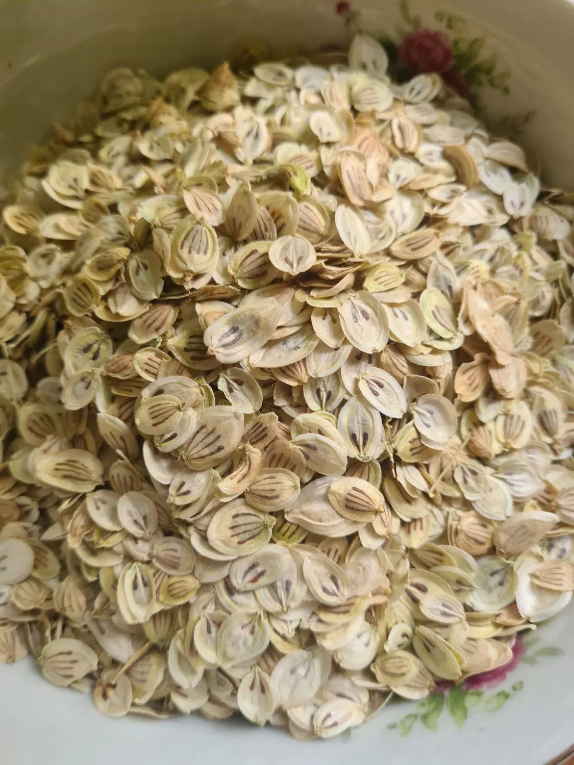 ادویه طبیعی گلپر گل پر|خوردنی و آشامیدنی|تهران, باغ فردوس|دیوار