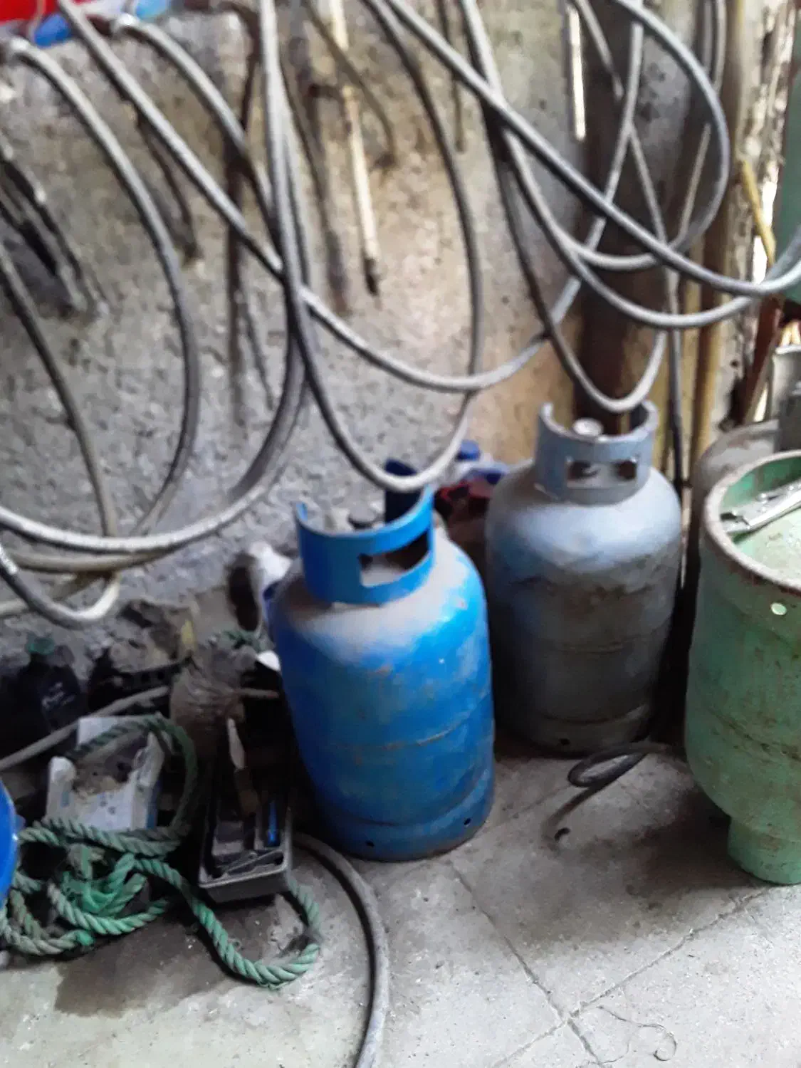 شارژ کپسول و پیک نیک|اجاق گاز و لوازم برقی پختوپز|گرگان, |دیوار