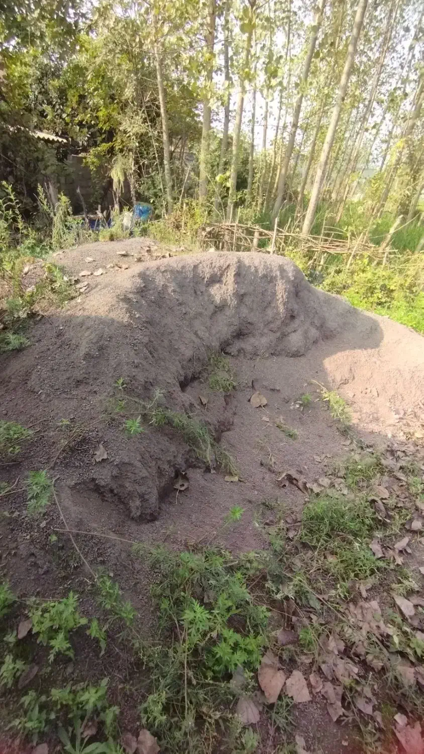 شن و نخودی|مصالح و تجهیزات ساختمان|رشت, نیروی دریایی|دیوار