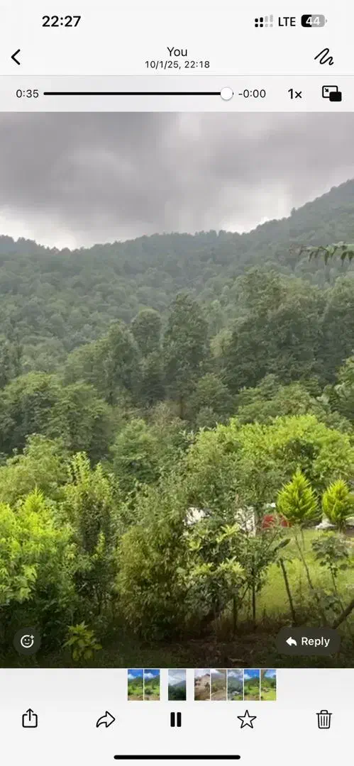 فروش ویلای ۴۰۸متری با ۱۳۰متر بنای نوساز|فروش خانه و ویلا|شاندرمن, |دیوار