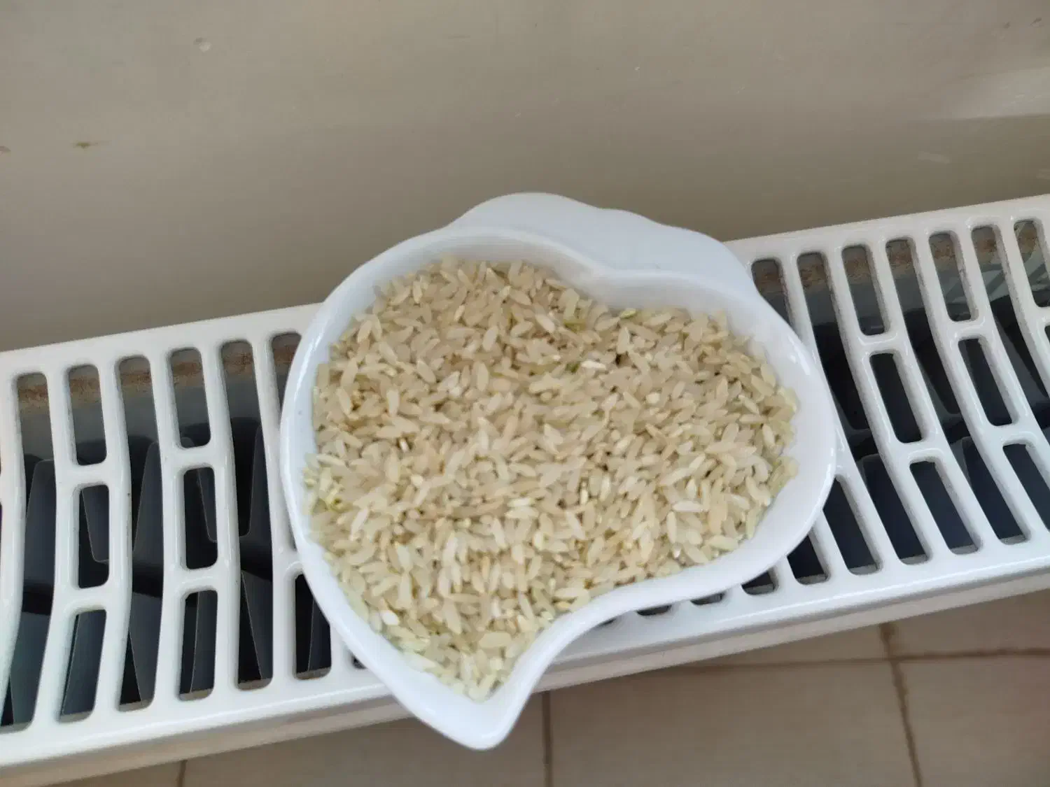 برنج کامفیروزی|عمدهفروشی|صدرا-فارس, فاز ۱|دیوار