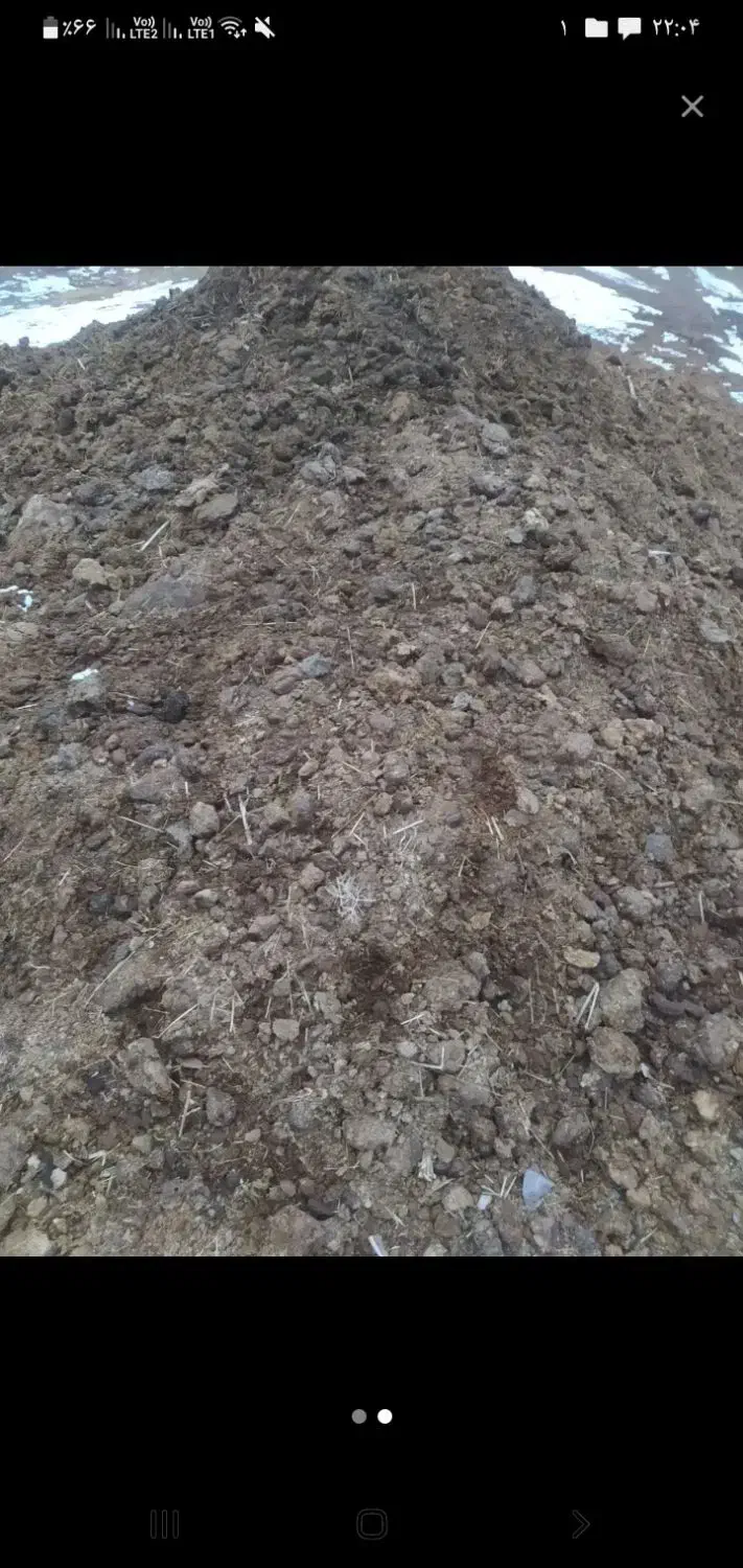 کود گاوی|خدمات باغبانی و درختکاری|قیدار, |دیوار