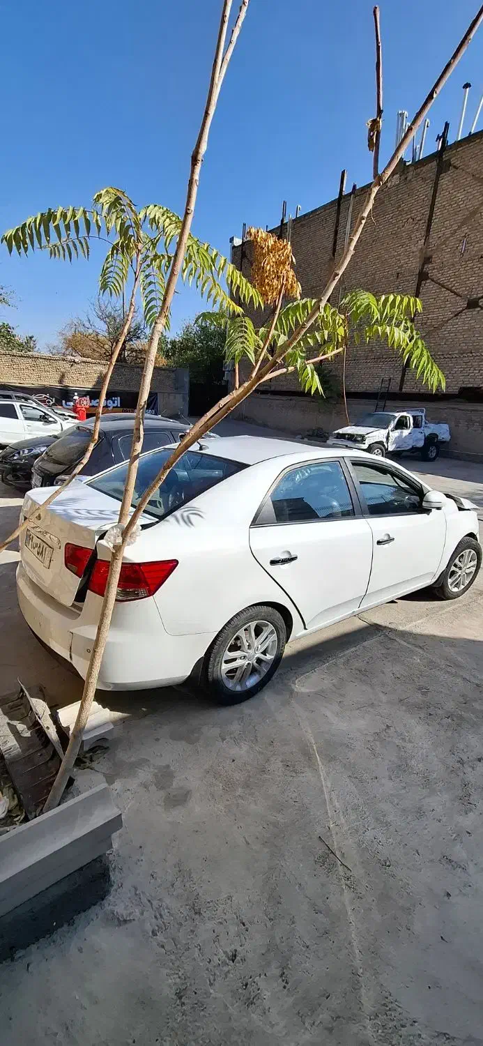 کیا سراتو اتومات / تصادفی|خودرو سواری و وانت|مشهد, هنرستان|دیوار