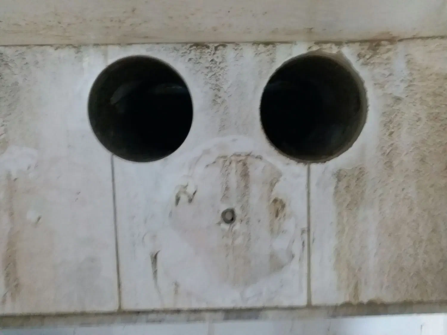 خدمات گرد بری وبرش|خدمات پیشه و مهارت|بیجار, |دیوار