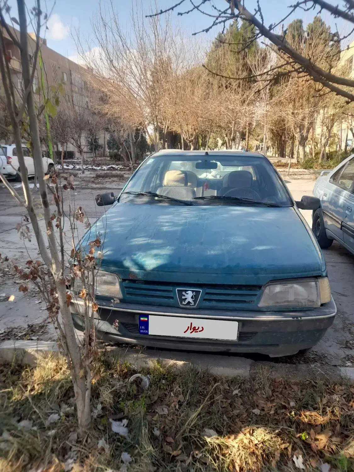 پژو اردی|خودرو سواری و وانت|فولادشهر, زاینده رود|دیوار