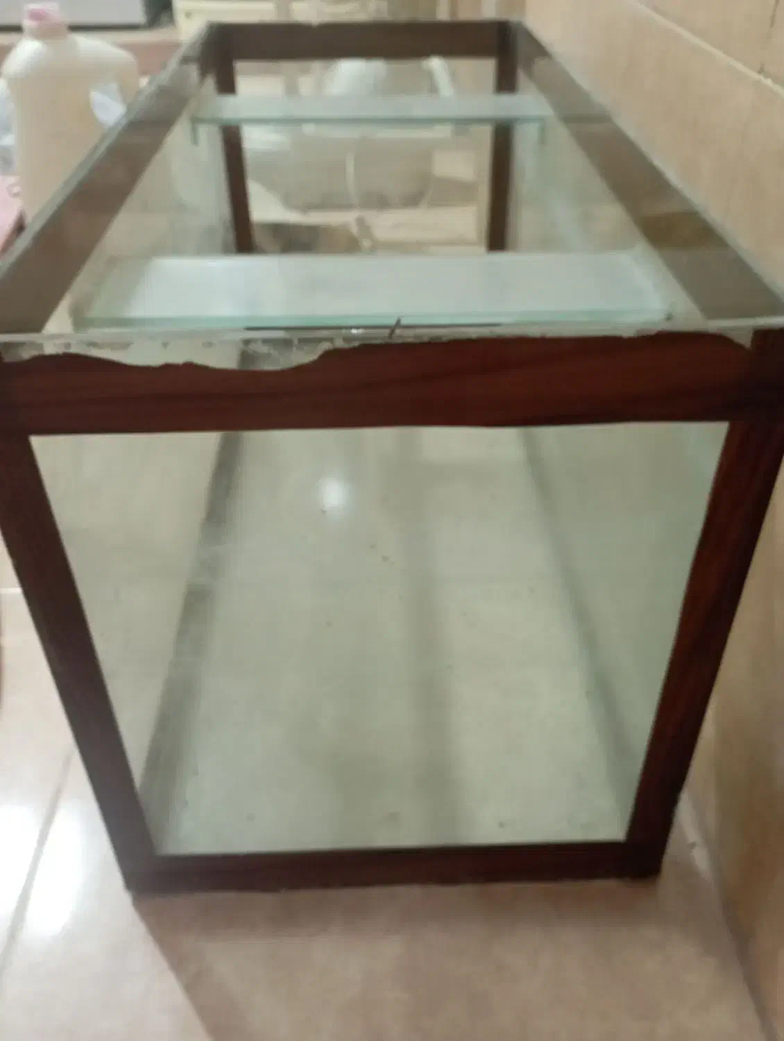 آکواریوم 70در30 با ارتفاع 34|ماهی|مشهد, فاطمیه|دیوار