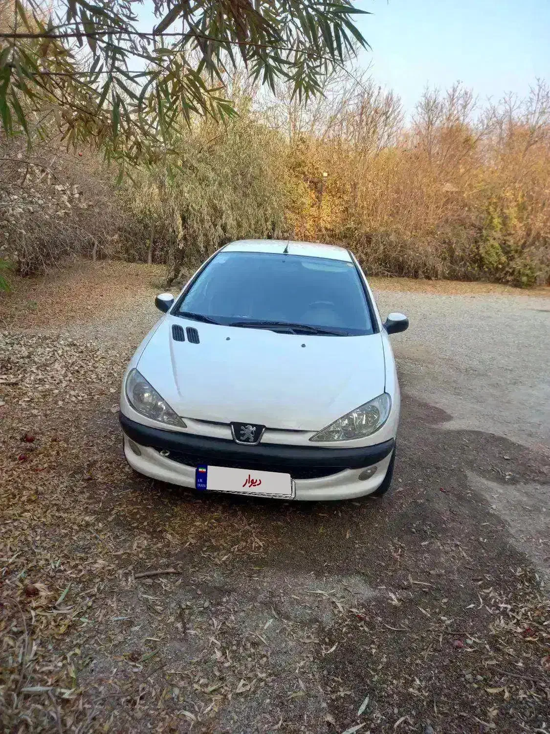 ۲۰۶  sd|خودرو سواری و وانت|قیامدشت - خاورشهر, |دیوار