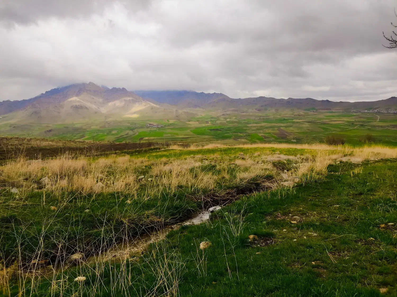 گم شدن کارت ملی|اشیا|قروه, |دیوار