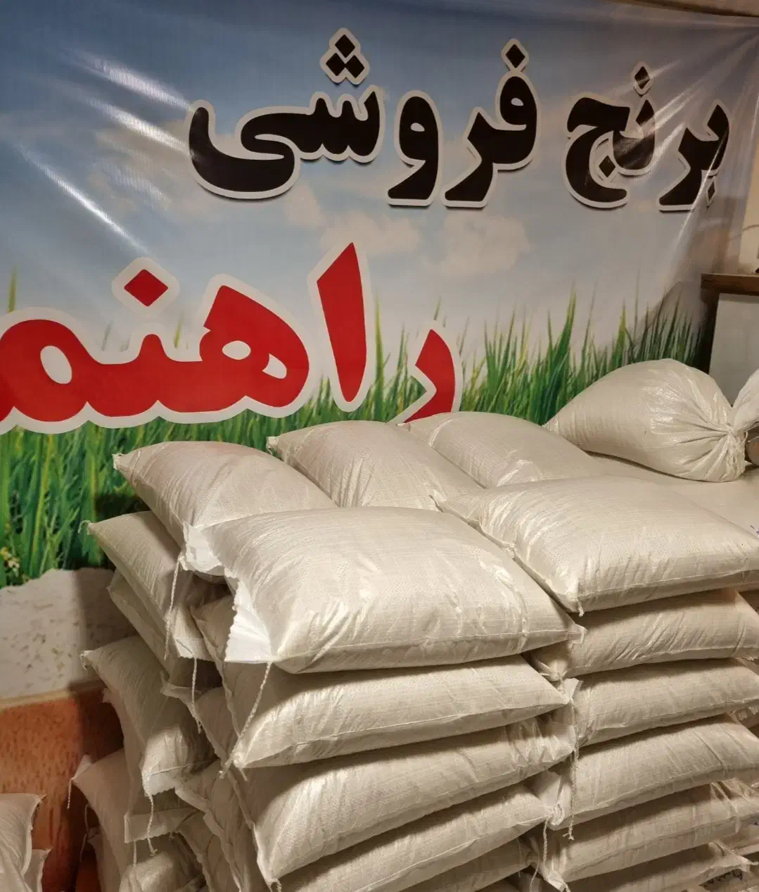 برنج هاشمی تازه درجه ۱محصول از خود کشاورز|خوردنی و آشامیدنی|رشت, استادسرا|دیوار