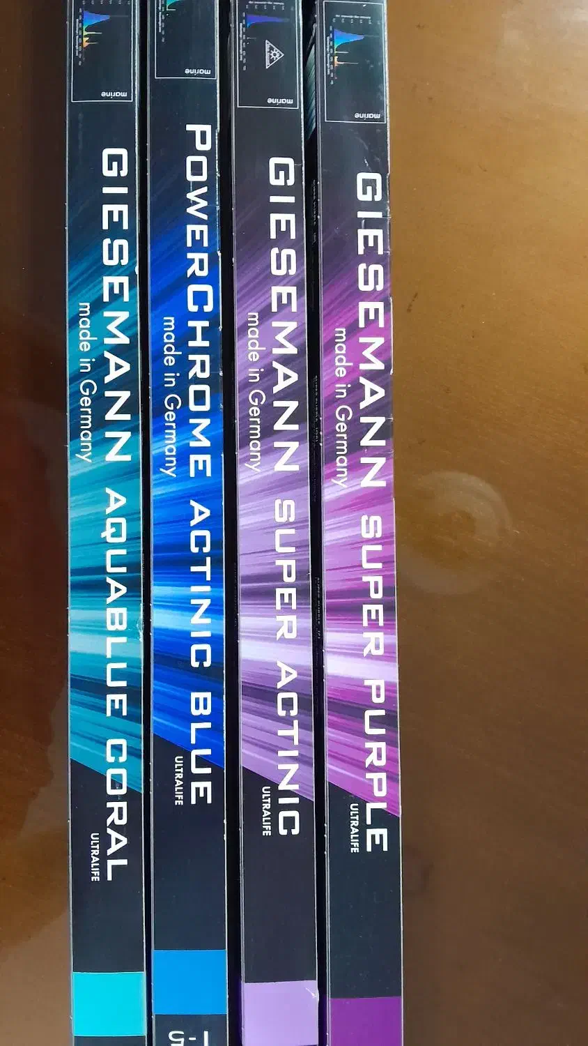 مهتابی جیسمان اب شور و محلول ریف ماسل|ماهی|اصفهان, صائب|دیوار