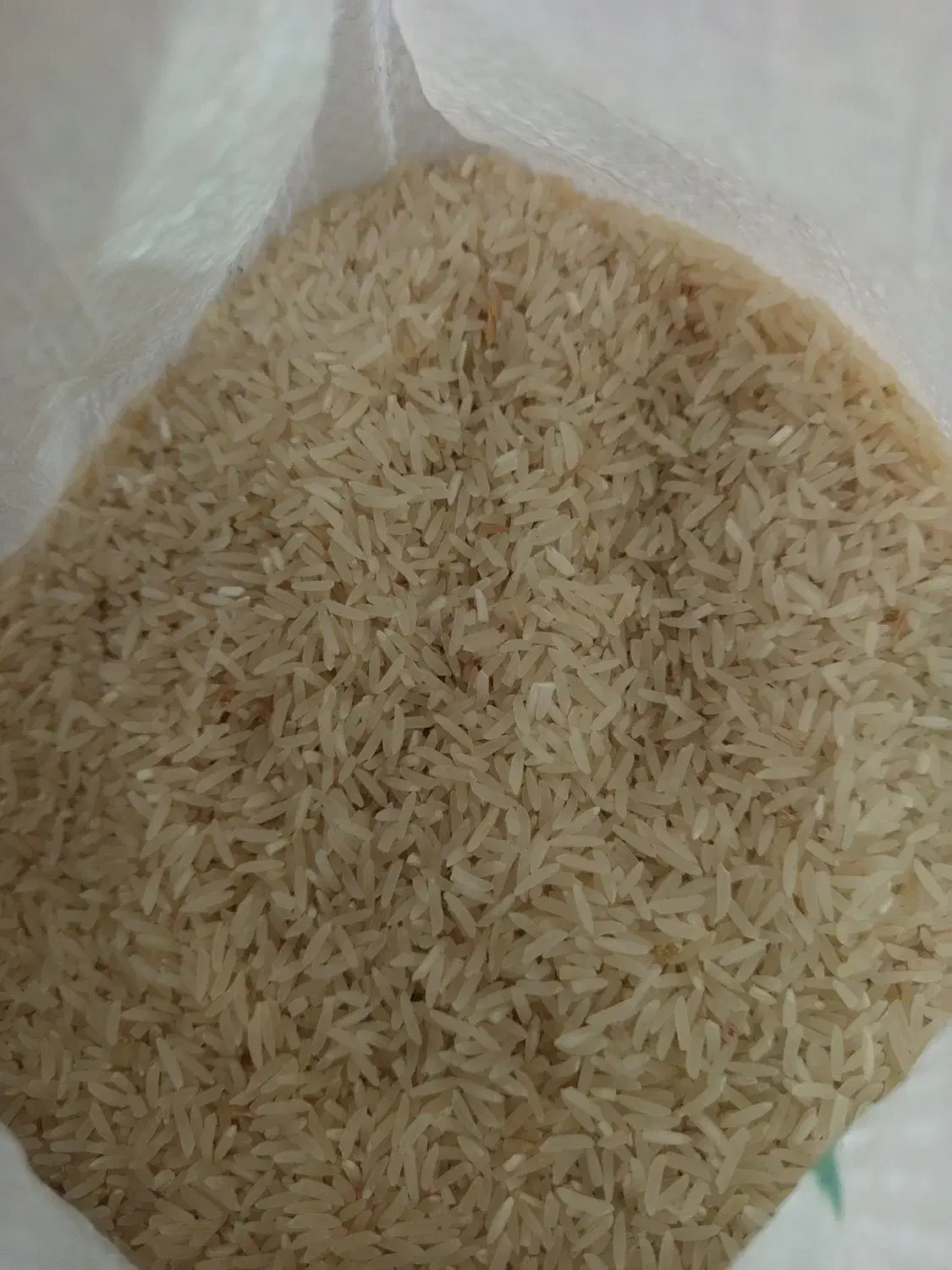 برنج فجر سوزنی مطمئن بدون قاطی|خوردنی و آشامیدنی|گنبد کاووس, |دیوار