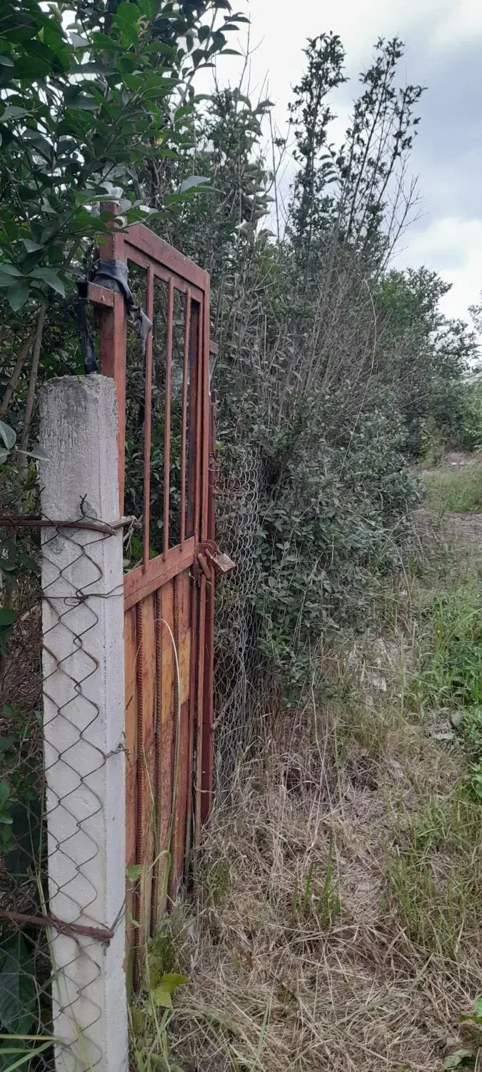 فروش زمین|فروش زمین و ملک کلنگی|دالخانی, |دیوار