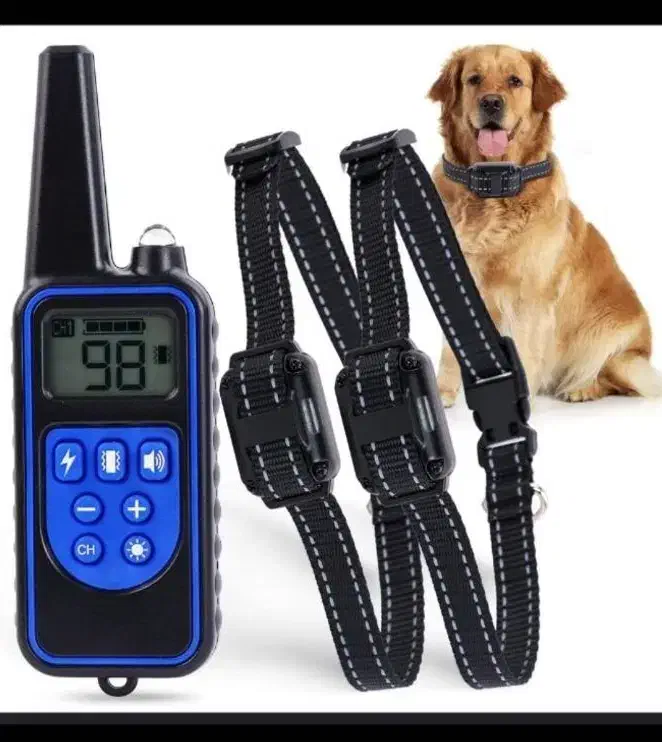 لوازم جانبی حیوانات|لوازم جانبی حیوانات|تهران, جوانمردان (اندیشه)|دیوار