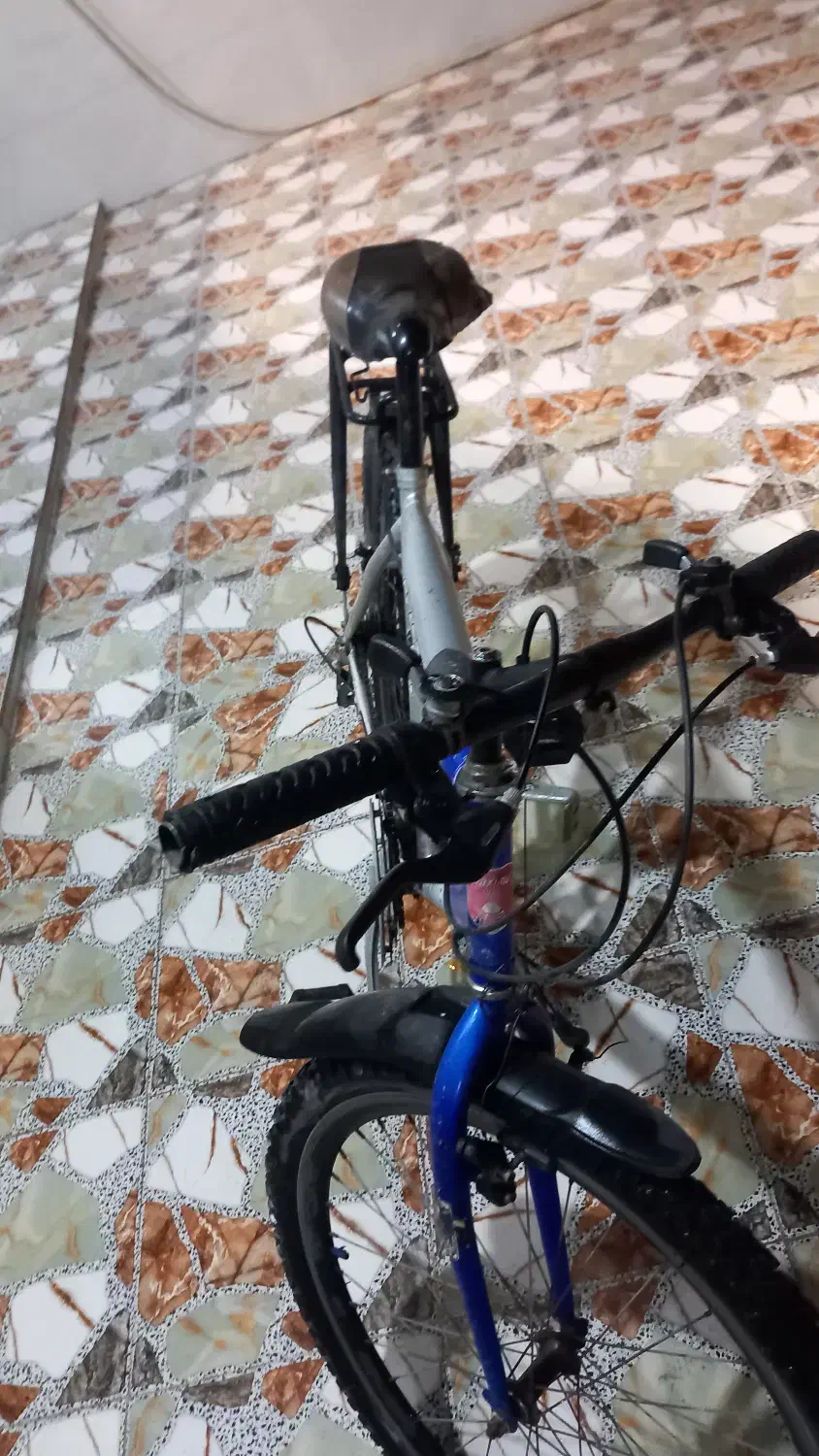 دوچرخه ۲۶ دنده ای|دوچرخه، اسکیت، اسکوتر|باوی, |دیوار