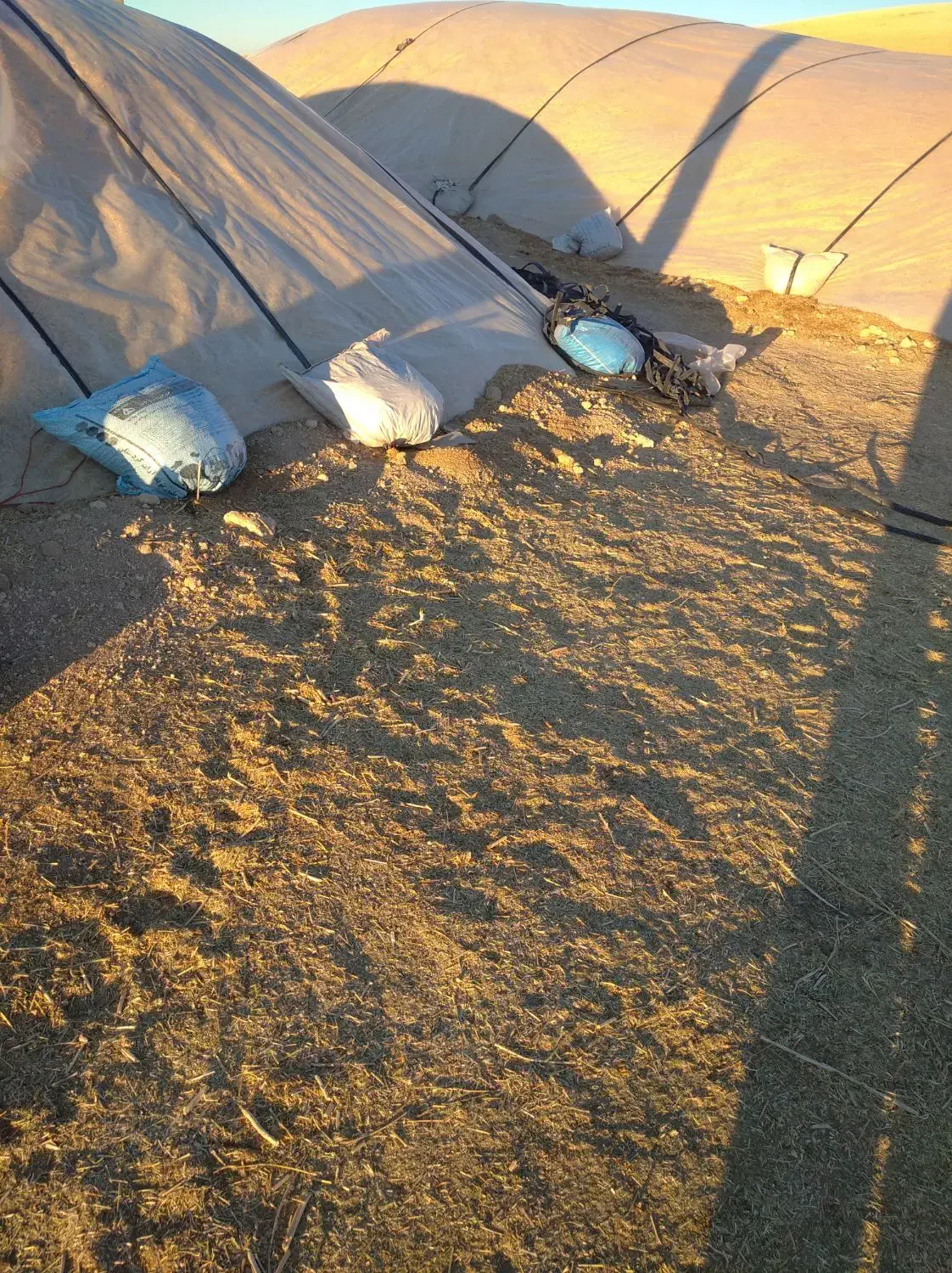 فروش کاه ریز کمپاین 40تن|لوازم جانبی حیوانات|دهگلان, |دیوار