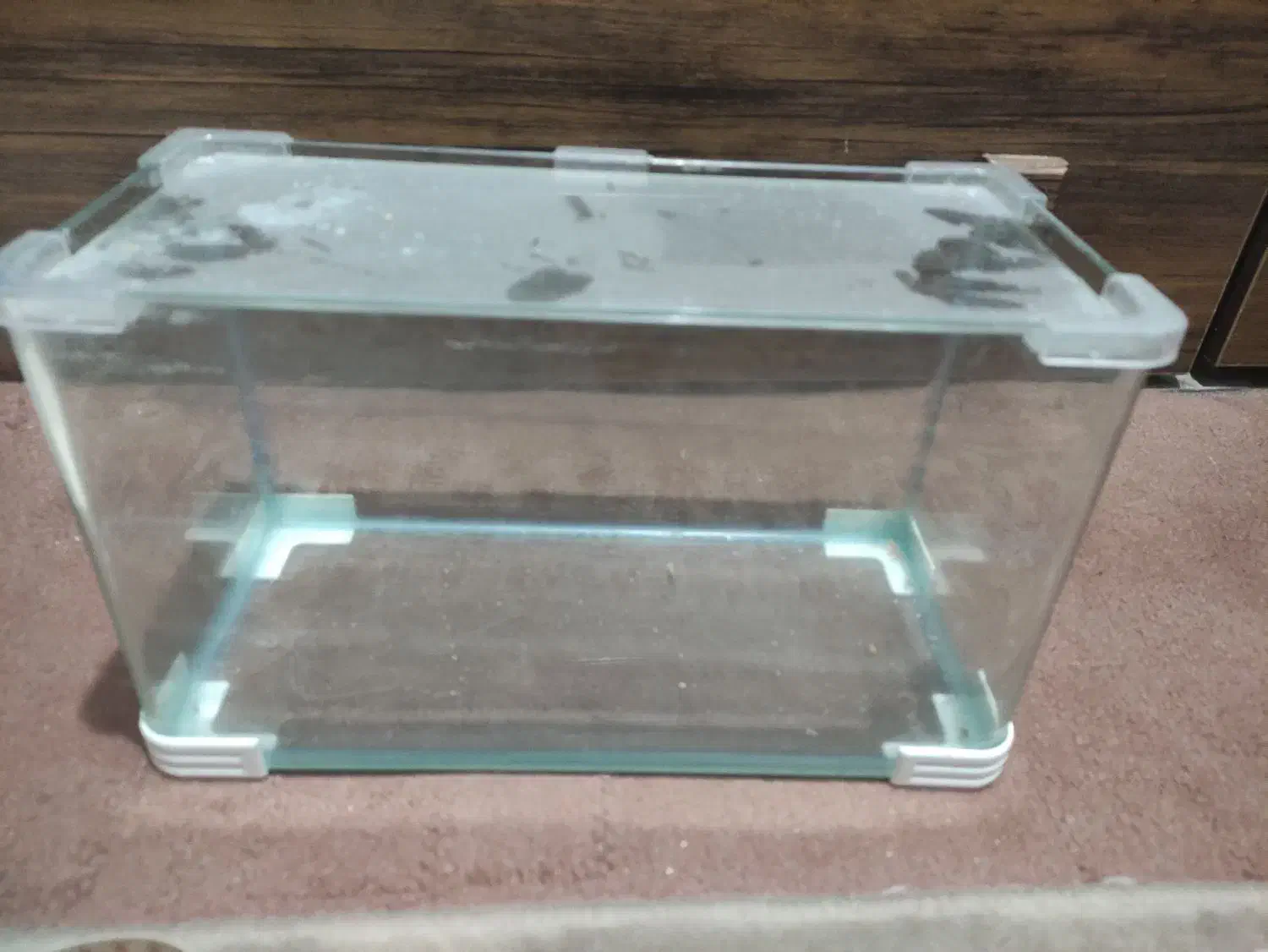 آکواریوم تتراریوم کوچک|ماهی|قدس, شهرقدس|دیوار