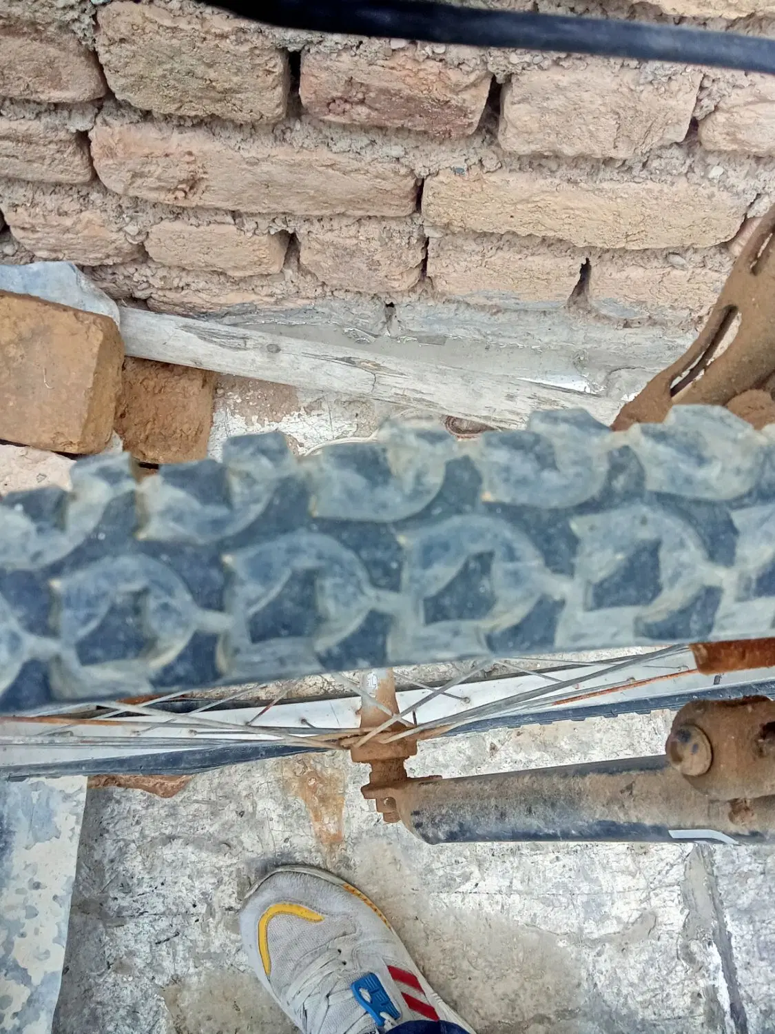 دوچرخه ۲۷|دوچرخه، اسکیت، اسکوتر|بزینه رود, |دیوار