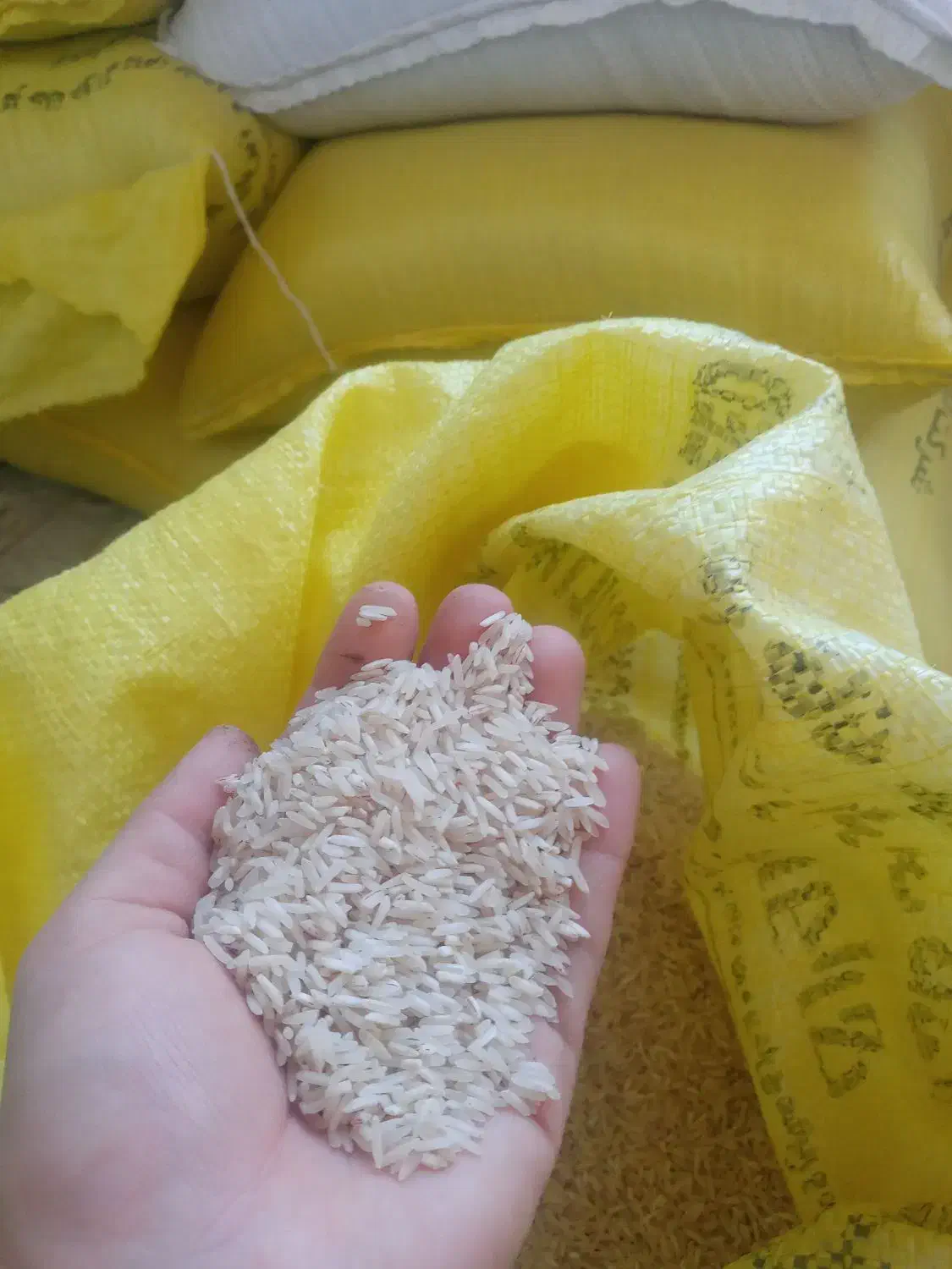 برنج ضیغمی سیروان|خوردنی و آشامیدنی|سیروان, |دیوار