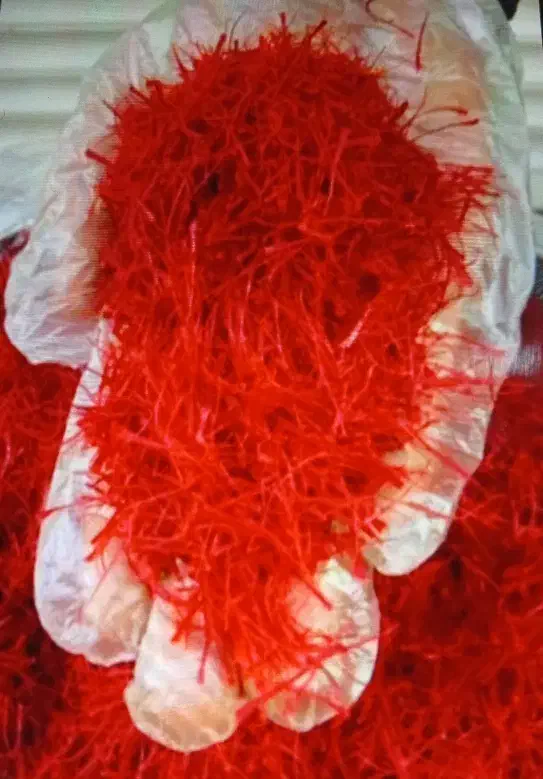 زعفران|گل و گیاه طبیعی|صحنه, |دیوار