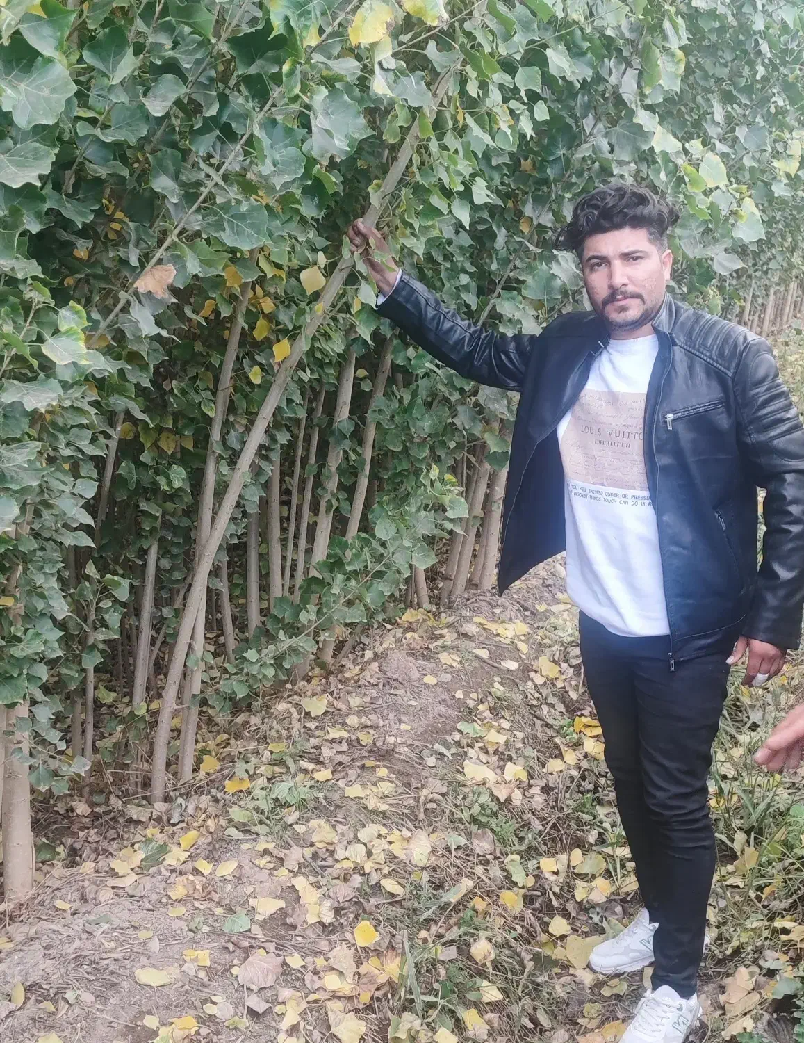 درآمد میلیاردی با بازگشت 200 درصدی سرمایه|خدمات باغبانی و درختکاری|رشت, ساغری سازان|دیوار