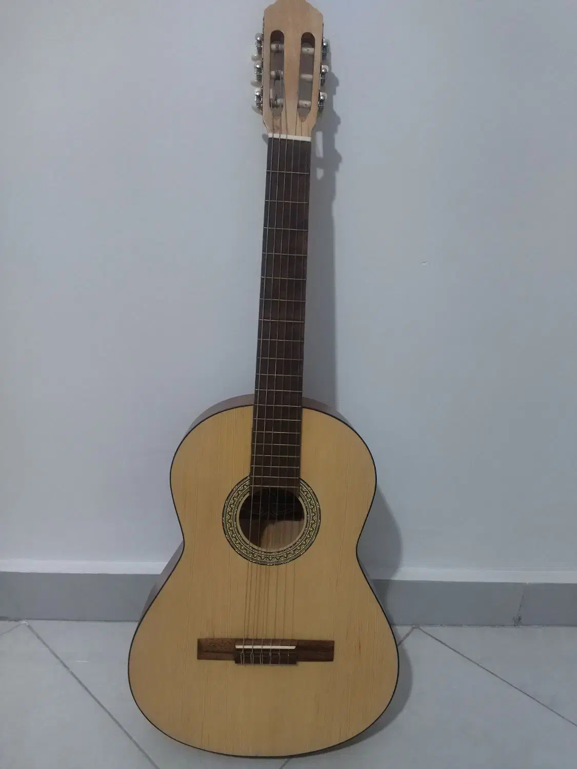 گیتار Hohner H20|گیتار، بیس، امپلیفایر|مشهد, طبرسی شمالی|دیوار