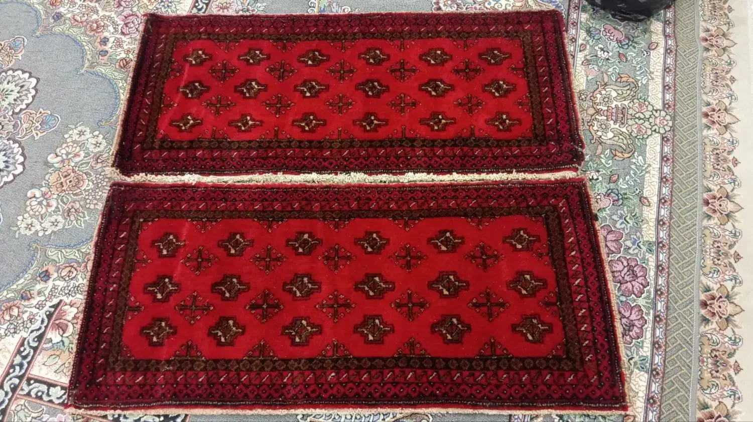 پشتی|پشتی|تربت‌حیدریه, داروپخش|دیوار